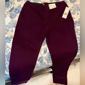 Calvin Klein Purple Pull on Dress Pants Sleek Stretchy Design